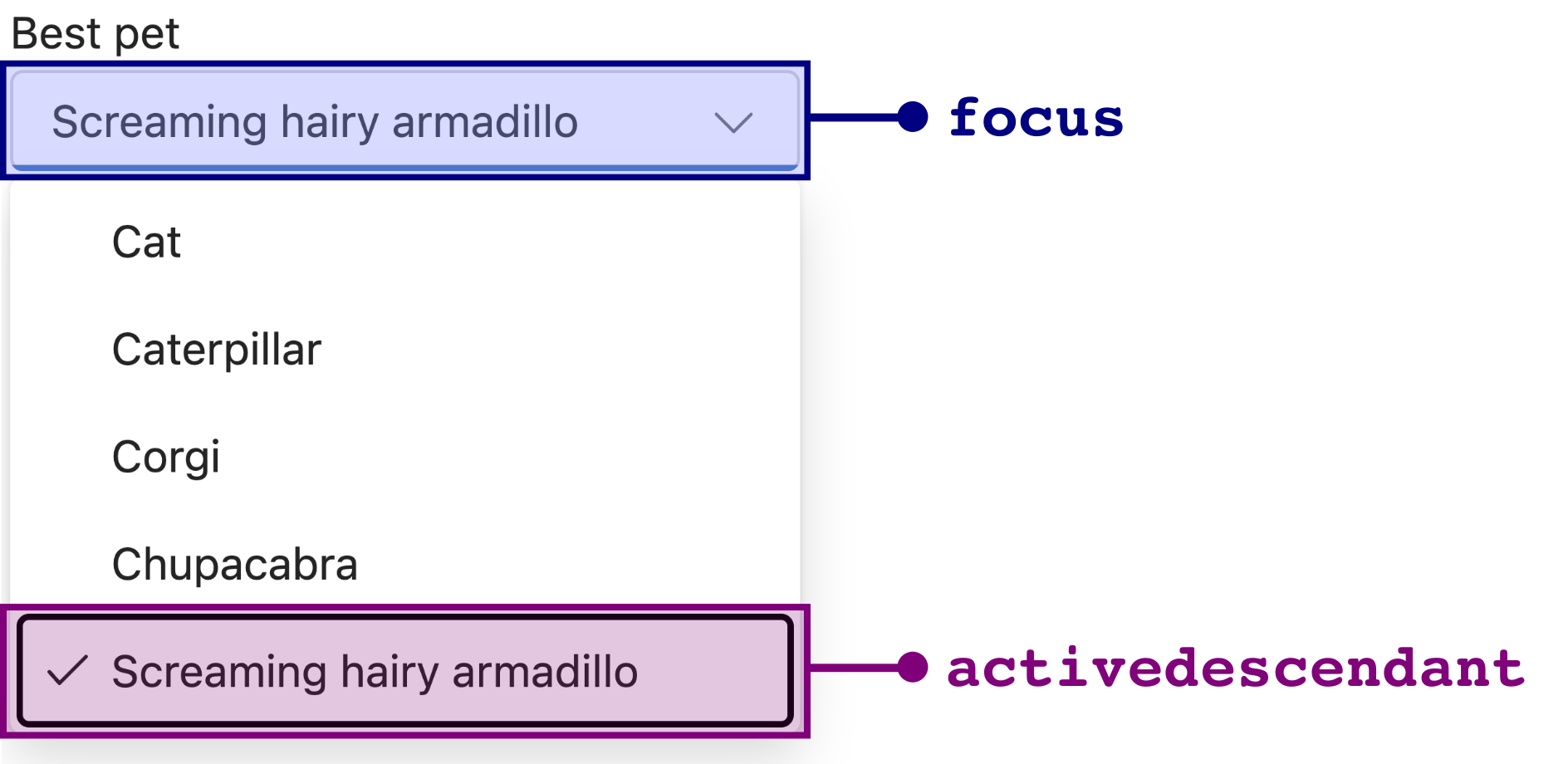 image of an open combobox labeled best pet, with screaming hairy armadillo selected. The image is marked up: the input is highlighted and labeled as the focused element, and the screaming hairy armadillo option inside the open listbox popup is highlighted and labelled activedescendant