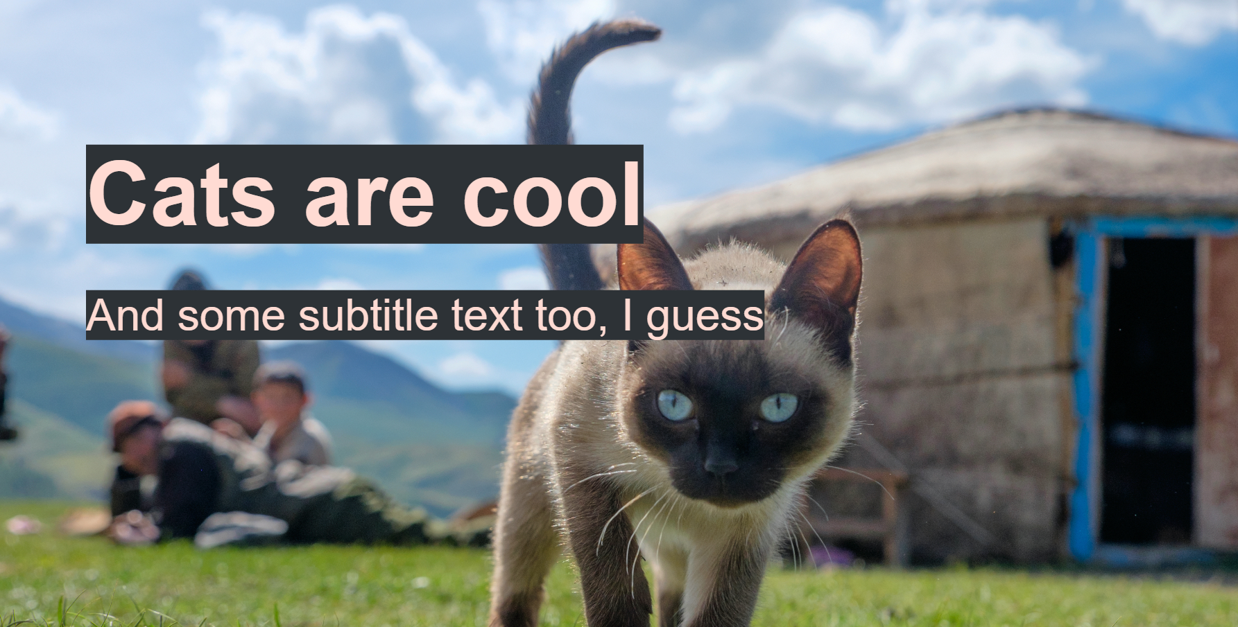 Two lines of text overlaid on a brightly colored photo of a curious siamese cat approaching the camera against a blurred outside background of a yurt, some people, and a sunny day. The text is a heading saying Cats are cool, and a smaller line saying and some subtitle text too, I guess.